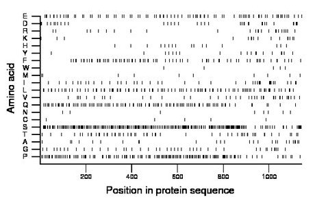 amino acid map