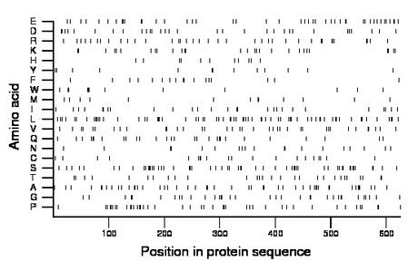 amino acid map