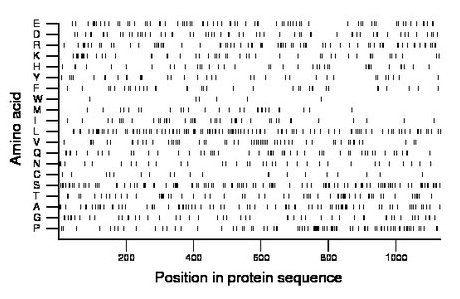 amino acid map