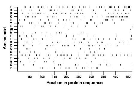 amino acid map