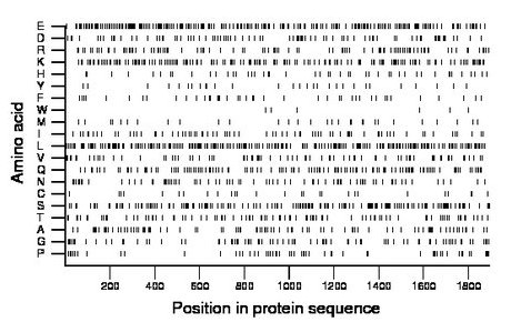 amino acid map