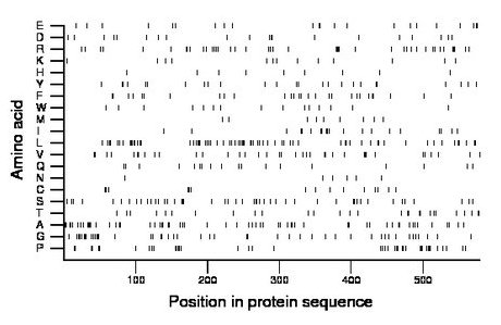 amino acid map