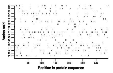 amino acid map