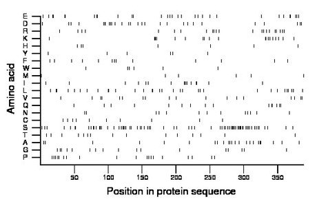 amino acid map