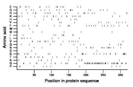 amino acid map