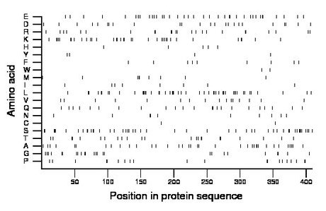 amino acid map