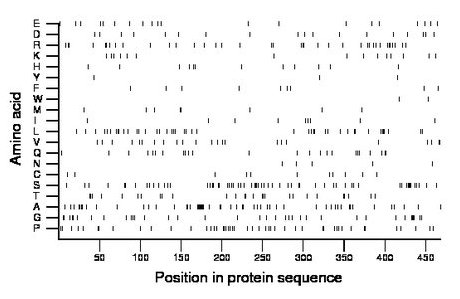 amino acid map