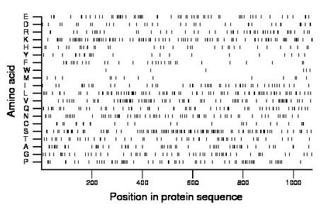 amino acid map