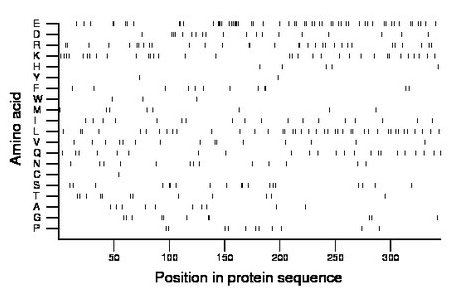 amino acid map