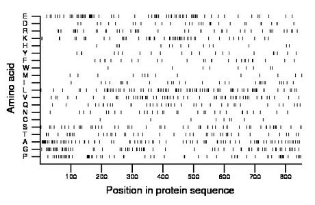 amino acid map