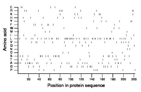 amino acid map