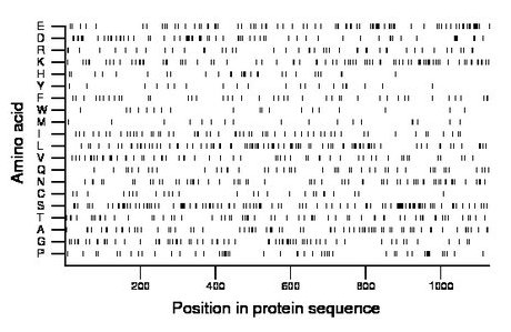 amino acid map