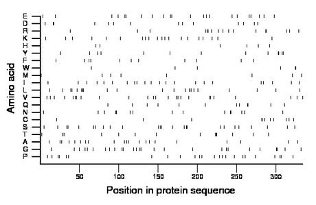 amino acid map