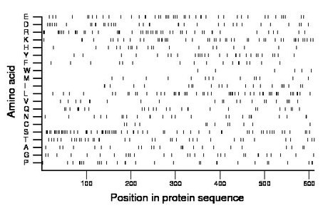 amino acid map