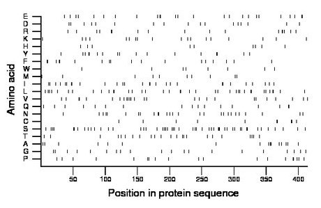 amino acid map