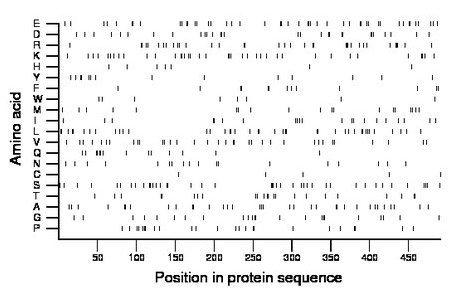 amino acid map