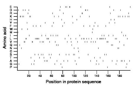 amino acid map