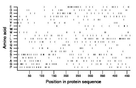 amino acid map