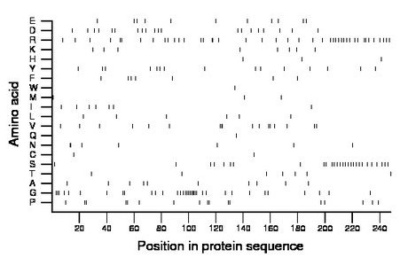 amino acid map