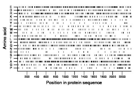 amino acid map