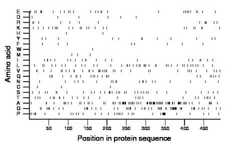 amino acid map