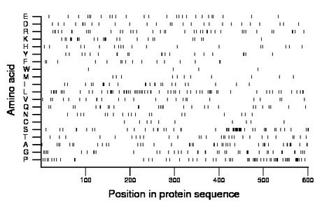 amino acid map