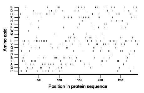 amino acid map