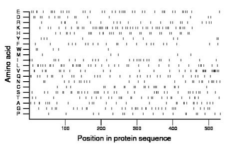 amino acid map