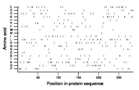 amino acid map