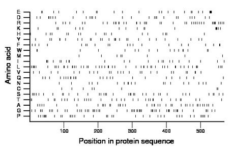 amino acid map