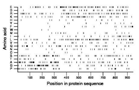 amino acid map