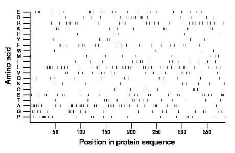 amino acid map