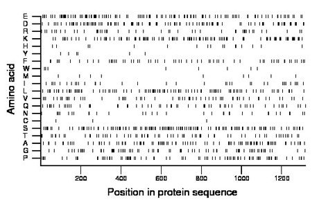 amino acid map