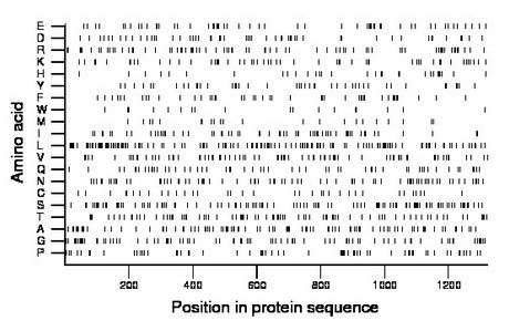 amino acid map