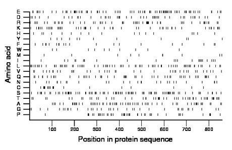 amino acid map