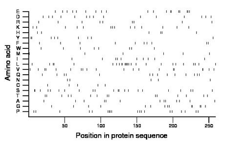 amino acid map