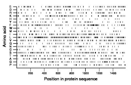 amino acid map