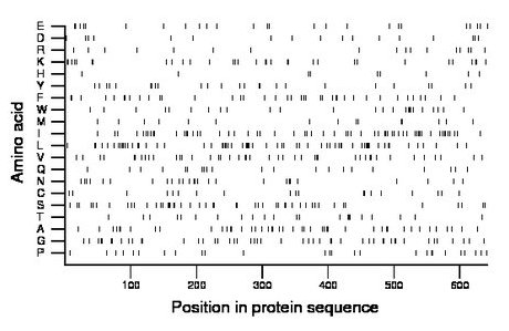 amino acid map