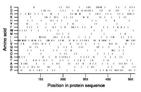 amino acid map