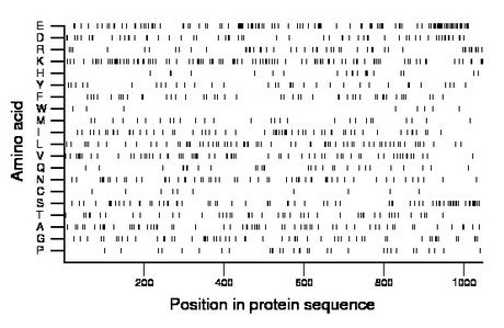 amino acid map