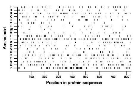 amino acid map