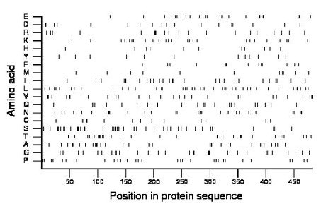 amino acid map