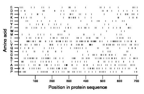 amino acid map