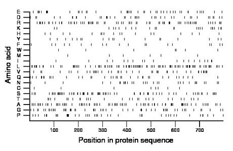 amino acid map