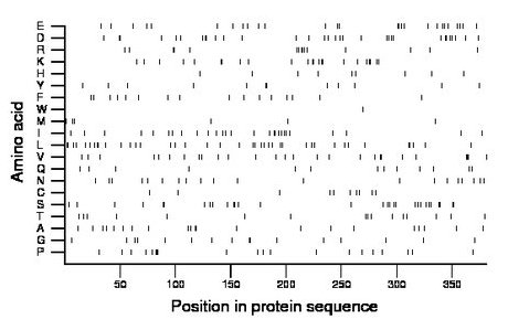 amino acid map