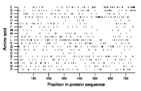 amino acid map