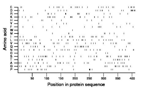 amino acid map