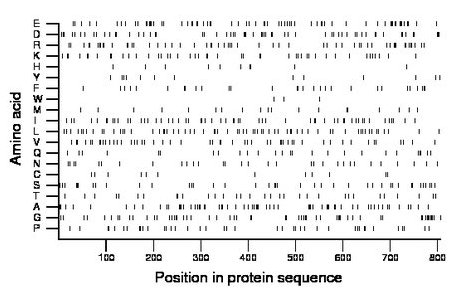 amino acid map