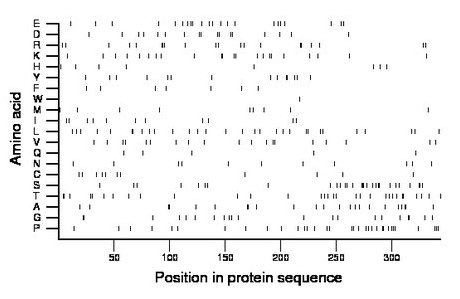 amino acid map