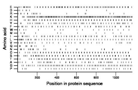 amino acid map